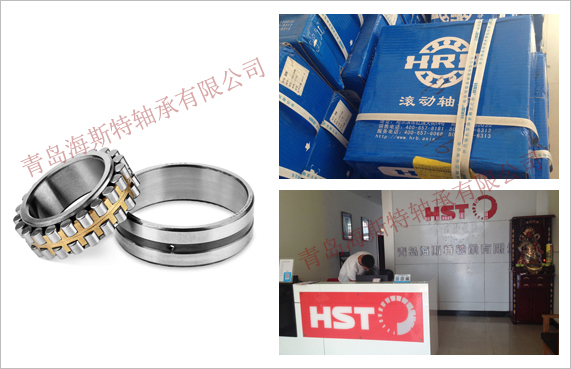 山東海斯特創(chuàng)智實業(yè)有限公司